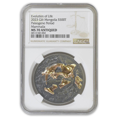 2023 500T 1 oz Silver Gilt Evolution of Life NGC MS70 - 1 of 50