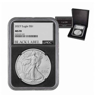 2014-W Burnished Silver Eagle NGC MS70