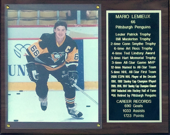 Mario Lemieux Pittsburgh Penguins 12x15 Stats Cherry-Finished Plaque 