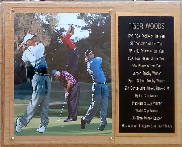 Tiger Woods PGA 12x15 Stats Plaque