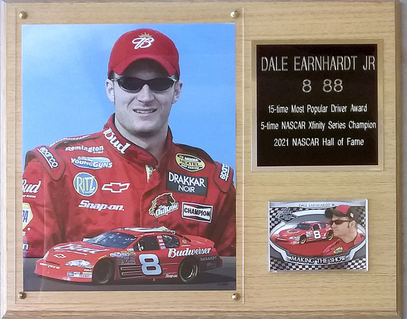 Dale Earnhardt Jr.  NASCAR 12x15 Oak-Finished  Stats Plaque