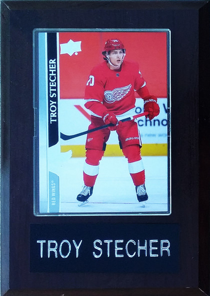 Troy Stecher Detroit Red Wings 4x6 Player Plaque