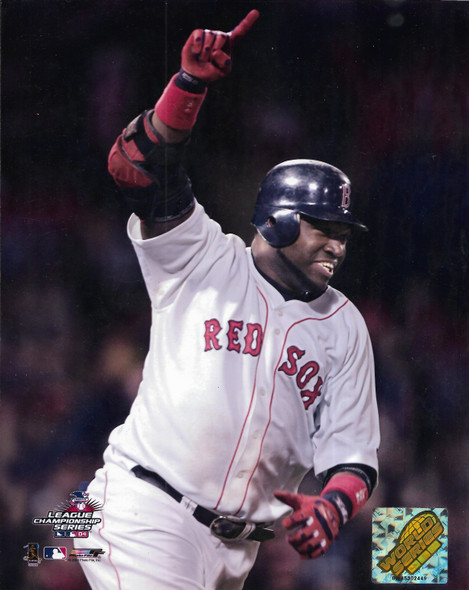 David Ortiz Boston Red Sox 12x15 Player Plaque - 2 PHOTO OPTIONS!