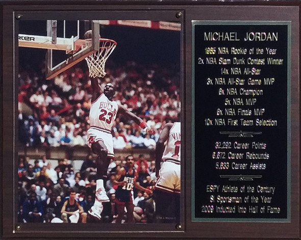 Michael Jordan Chicago Bulls Lay-Up 12x15 Stats Plaque