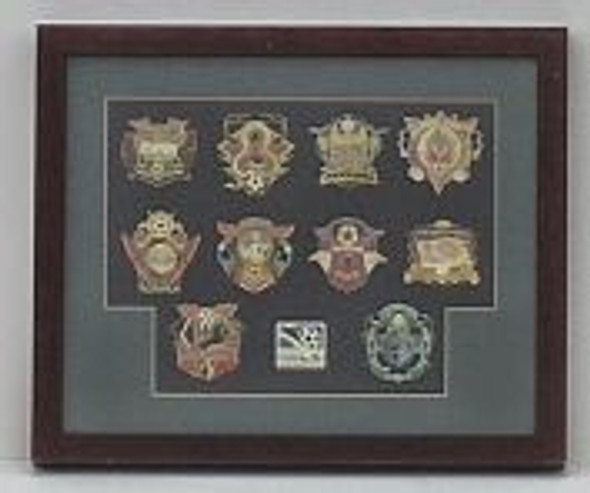 MLS Framed Pin Set