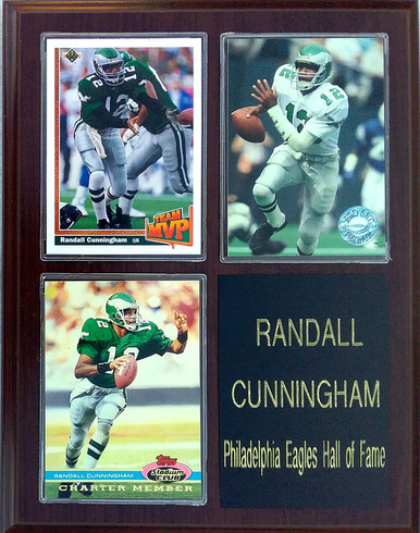 Brian Westbrook Philadelphia Eagles 3-Card 7x9 Plaque