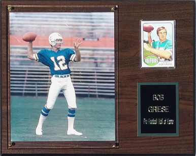 Dan Marino Miami Dolphins 12x15 Marbleized-teal Stats Plaque 