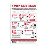 Electric Shock Survival - Electrical Signs