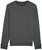 Unisex Rise essential crew neck sweatshirt (STSU811)