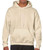 Gildan Heavy Blend™ Hooded Sweatshirt