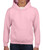 Gildan Kids Heavy Blend™ Hooded Sweatshirt