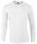 Softstyle? long sleeve t-shirt