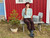 Jonny Q - Mina P1531 vide bukser