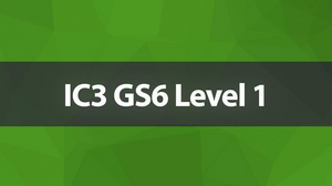 IC3 GS6 Level 1 IC3 GS6 Level 1