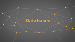 Databases Databases