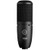 AKG P120 2/3 Inch Diaphragm General Purpose Recording Condenser Microphone