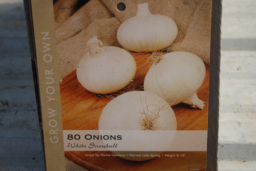 Onion White Snowball