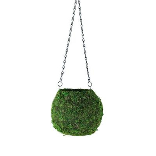 Kokedama Moss Hanging Ball 6"