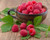 Raspberry Boyne