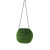 Kokedama Hanging Moss Balls 4"
