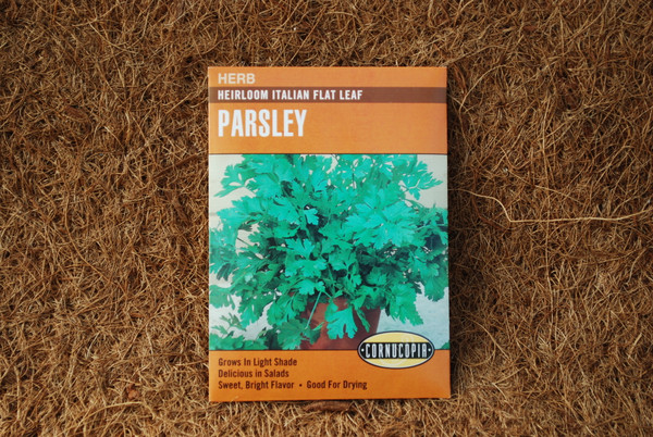 Parsley Italian Flat Leaf