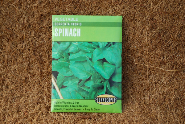 Spinach Correnta Hybrid