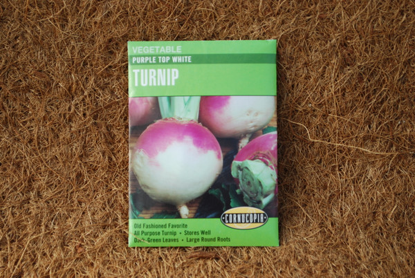 Turnip Purple Top White Globe