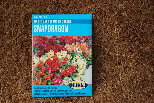 Snapdragon Magic Carpet Mixed Colors