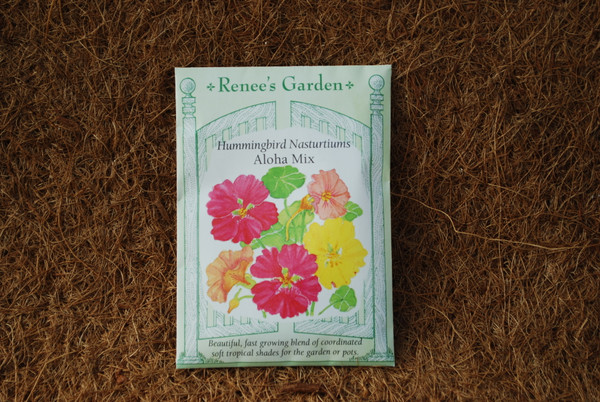 Nasturtium Aloha Mix
