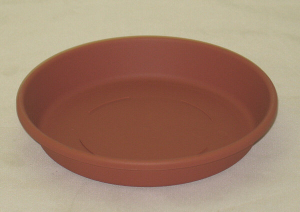 Classic Deep Saucer Clay 6"