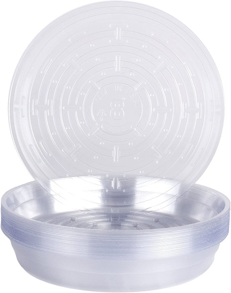 8 inch clear plastic saucer