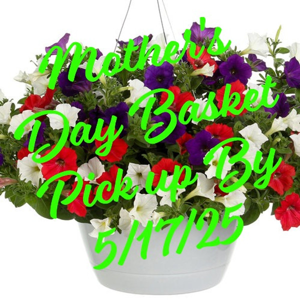 Main Street USA Combo Hanging Basket ***MOTHER'S DAY RELEASE***