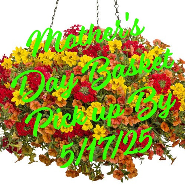 Fired Up! Combo Hanging Basket ***MOTHER'S DAY RELEASE***