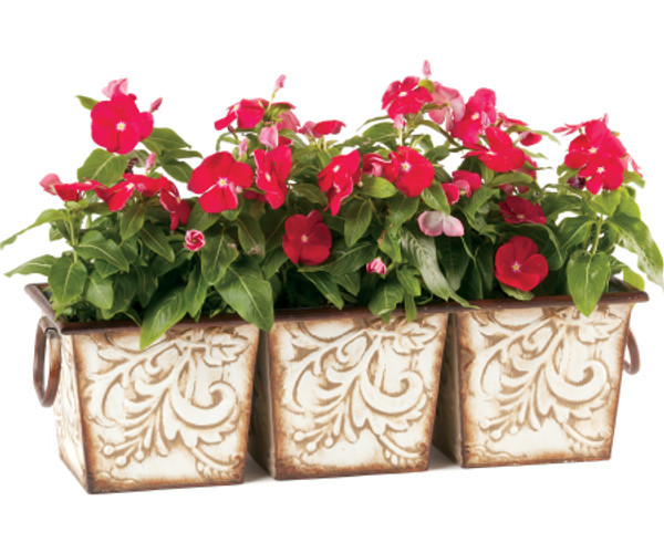 Planter 3 Pot Venetian