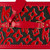 VANITY LOUIS VUITTON EN TOILE ROUGE - 430224058