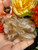 Honey Calcite Cat 