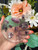 Lepidolite Resin Chopping Board