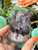 Crystal Resin Tealight Holder/ Trinket Jar– Lavender Amethyst & Sheen Obsidian