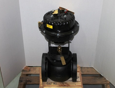 Johnson Controls VG2231VM+845D00 Globe Valve