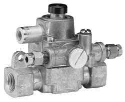 Robertshaw 1720-003 3/8" Npt Valve Assembly with Magnet