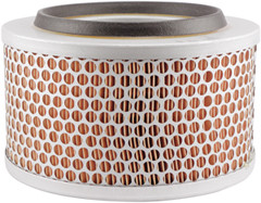 Baldwin PA2919 Air Element