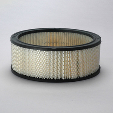 Donaldson P524351 Air Filter