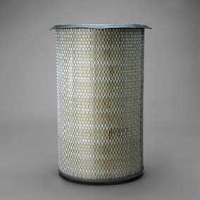 Donaldson P607263 Air Filter