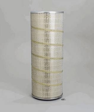 Donaldson P606068 Air Filter