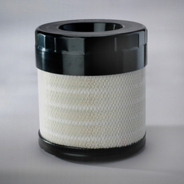 Donaldson P783543 Air Filter