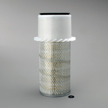 Donaldson P148573 Air Filter