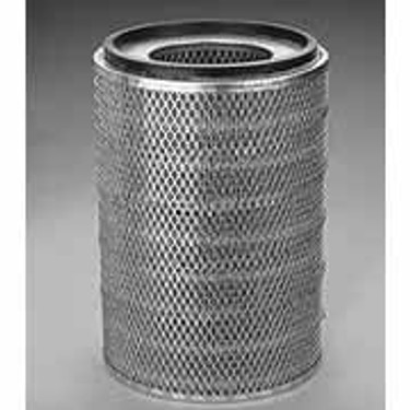 Donaldson P545613 Air Filter