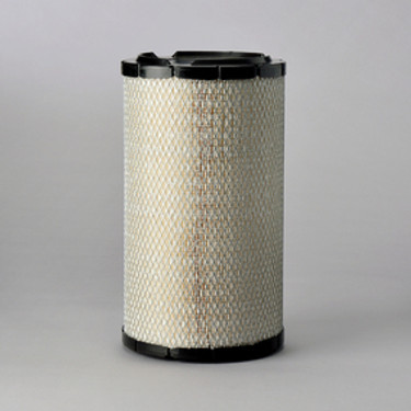 Donaldson P821883 Air Filter