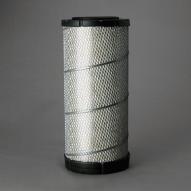 Donaldson P614563 Air Filter