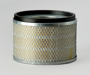 Donaldson P181125 Air Filter